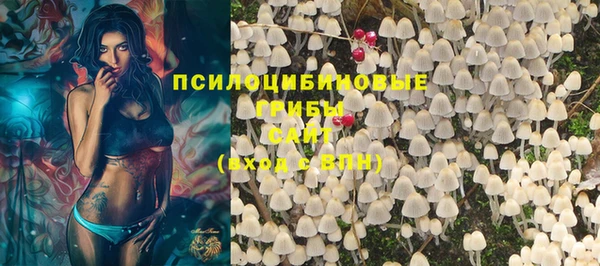герыч Дмитриев