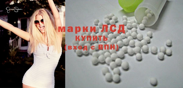 прущие грибы Армянск