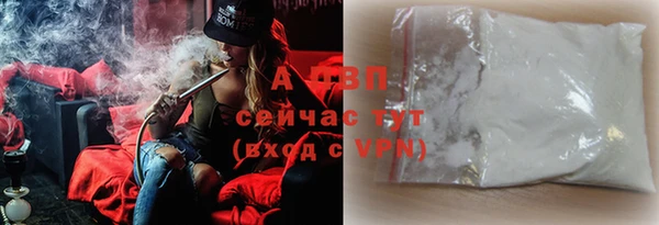 прущие грибы Армянск