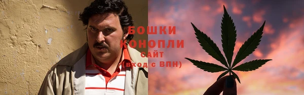 прущие грибы Армянск