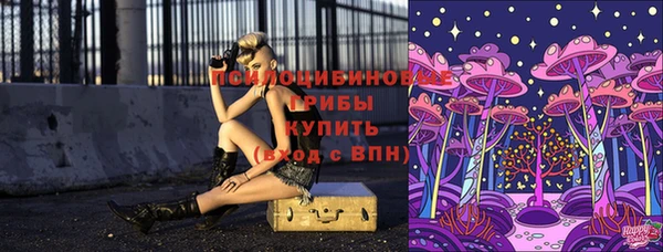 прущие грибы Армянск