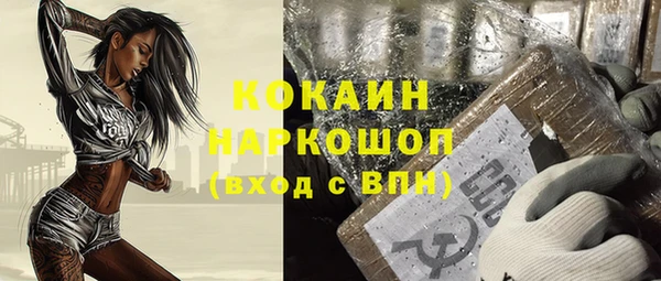 стаф Дмитров
