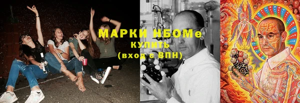 прущие грибы Армянск