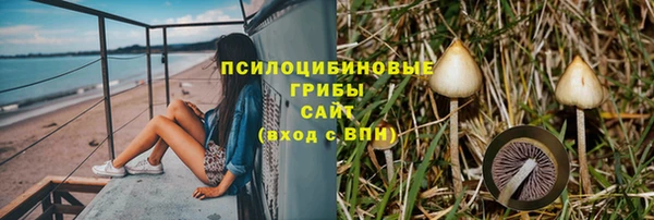 а пвп мука Аркадак