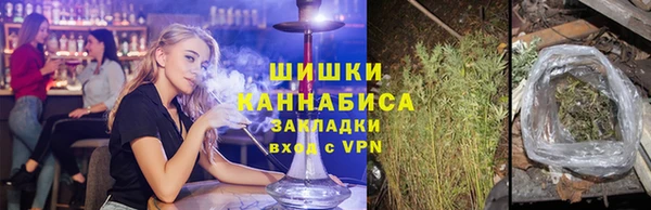 прущие грибы Армянск