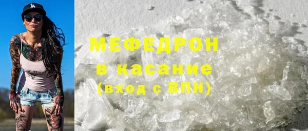 индика Гусь-Хрустальный