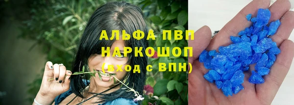 индика Гусь-Хрустальный