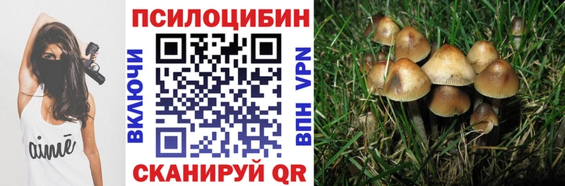 купить закладку  Новоржев  Псилоцибиновые грибы Psilocybine cubensis 