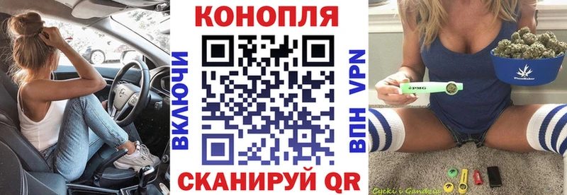 кракен сайт  Новоржев  Марихуана VHQ  цены  